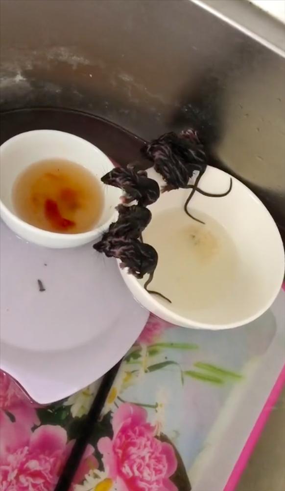 Lâu ngày dọn bếp, ngã ngửa với cảnh kinh dị muốn ói mửa-2