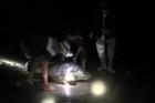 Rùa biển quý hiếm nặng 120 kg mắc lưới ngư dân Quảng Bình