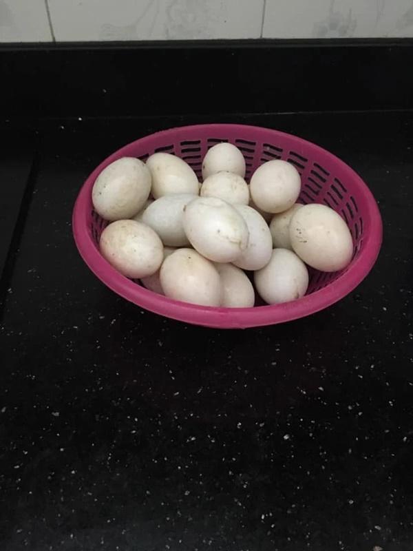 Những đứa con xa nhà khoe gia tài đồ tiếp tế được mẹ nói chỉ gửi ít thôi-13