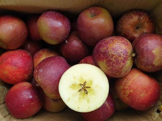 Tỉnh táo tránh mua nhầm 7 loại trái Trung Quốc tràn ngập chợ Việt Nam-4