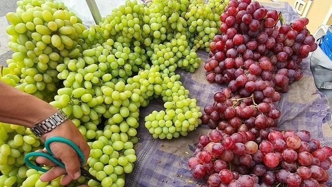 Tỉnh táo tránh mua nhầm 7 loại trái Trung Quốc tràn ngập chợ Việt Nam-6