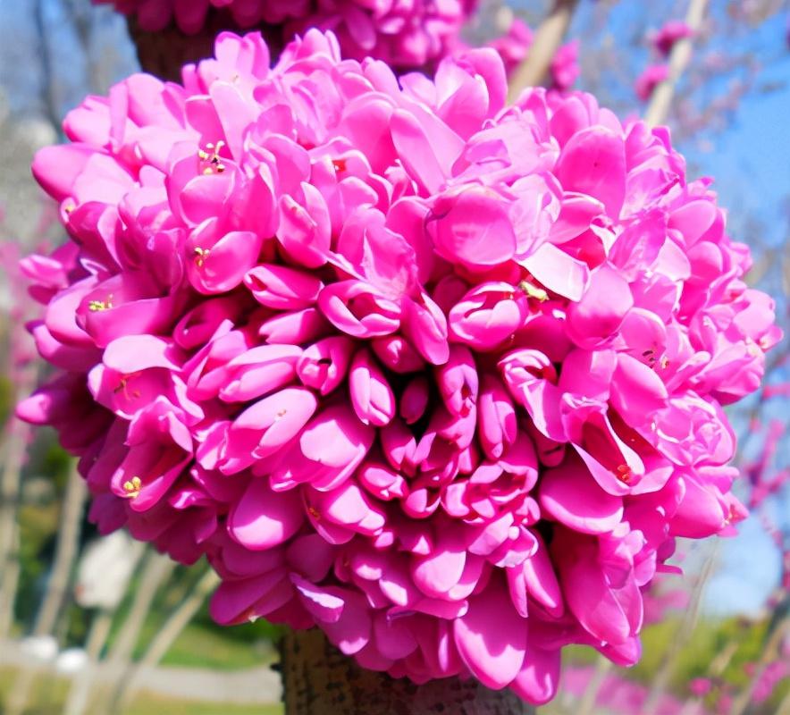 Người sinh vào ngày Âm lịch này làm gì cũng giỏi-1