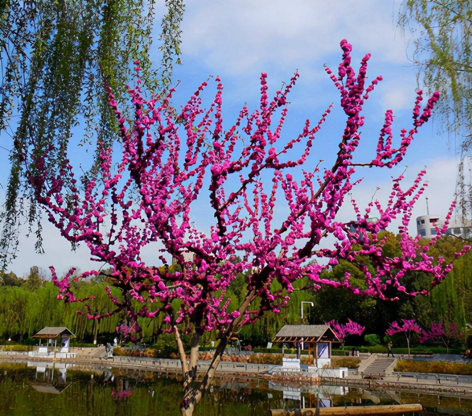 Người sinh vào ngày Âm lịch này làm gì cũng giỏi-2