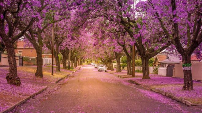 Quốc gia duy nhất nào trên thế giới có 3 thủ đô?-5