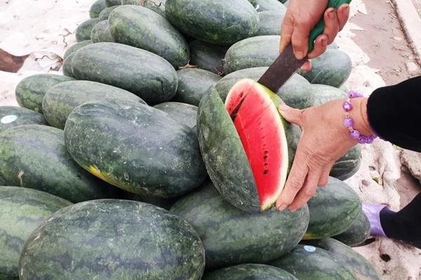 Dưa hấu mini mọc đầy đường, chuyên gia cấm trẻ con lại gần!-4