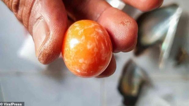 Nhặt được ngoài biển, ngư dân định trang trí lồng chim mới biết giá 7 tỷ-2