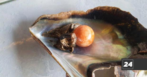 Nhặt được ngoài biển, ngư dân định trang trí lồng chim mới biết giá 7 tỷ-3