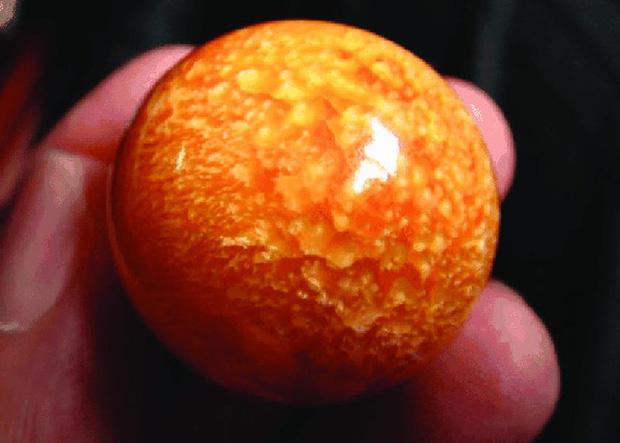 Nhặt được ngoài biển, ngư dân định trang trí lồng chim mới biết giá 7 tỷ-4