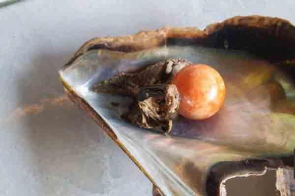 Hốt hoảng dọn đống dây cáp dạt vào bờ biển, chuyên gia: Đừng sờ vào!-3