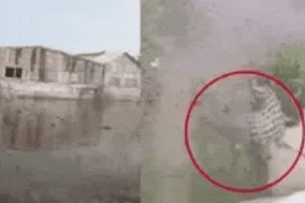 Chủ nhân Tịnh thất Bồng Lai bị mệt, dừng gây chiến bà Phương Hằng-8