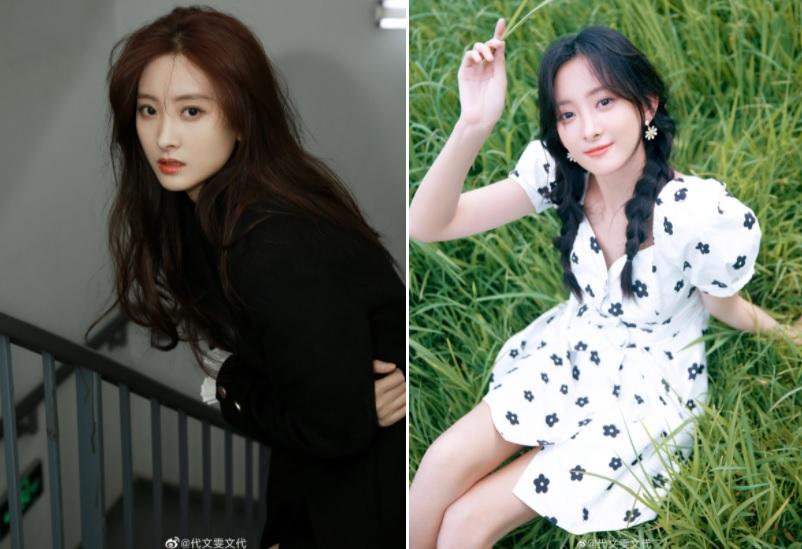 Hợp đồng tiết lộ mặt tối showbiz Trung Quốc-1