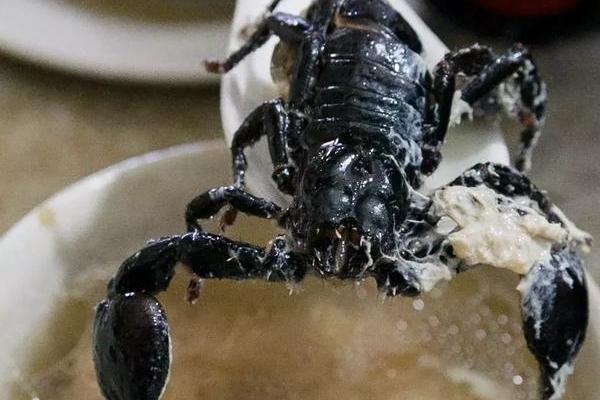 Các kiểu làm ăn nửa vời, treo dê bán chó khiến thực khách méo mặt-10