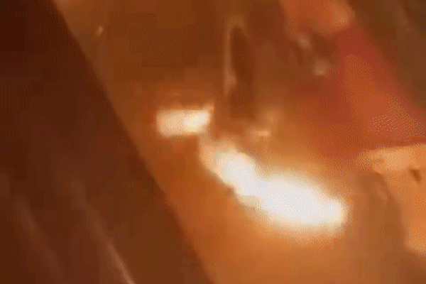 Nam thanh niên thiêu sống mèo lên tiếng xin lỗi và nói rõ nguyên nhân-3