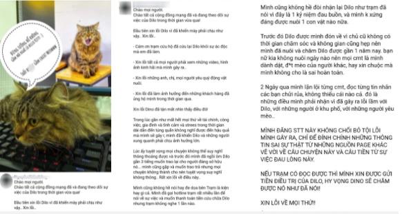 Nam thanh niên thiêu sống mèo lên tiếng xin lỗi và nói rõ nguyên nhân-1