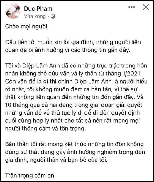 Chồng tuyên ly thân đúng sinh nhật con, Diệp Lâm Anh nói gì?-2