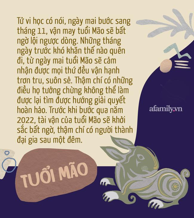 3 con giáp may mắn phát tài, 2 tháng cuối năm lấy lại mọi thứ đã mất-2