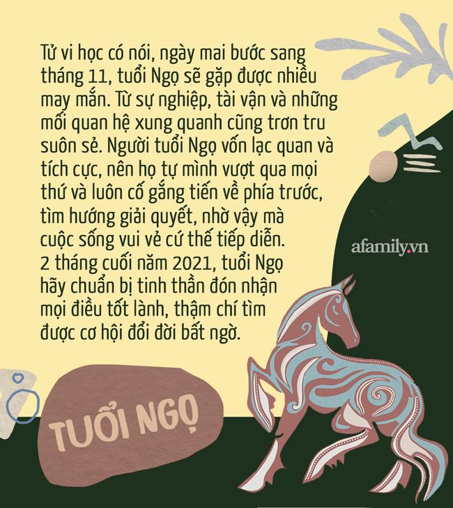 3 con giáp may mắn phát tài, 2 tháng cuối năm lấy lại mọi thứ đã mất-3