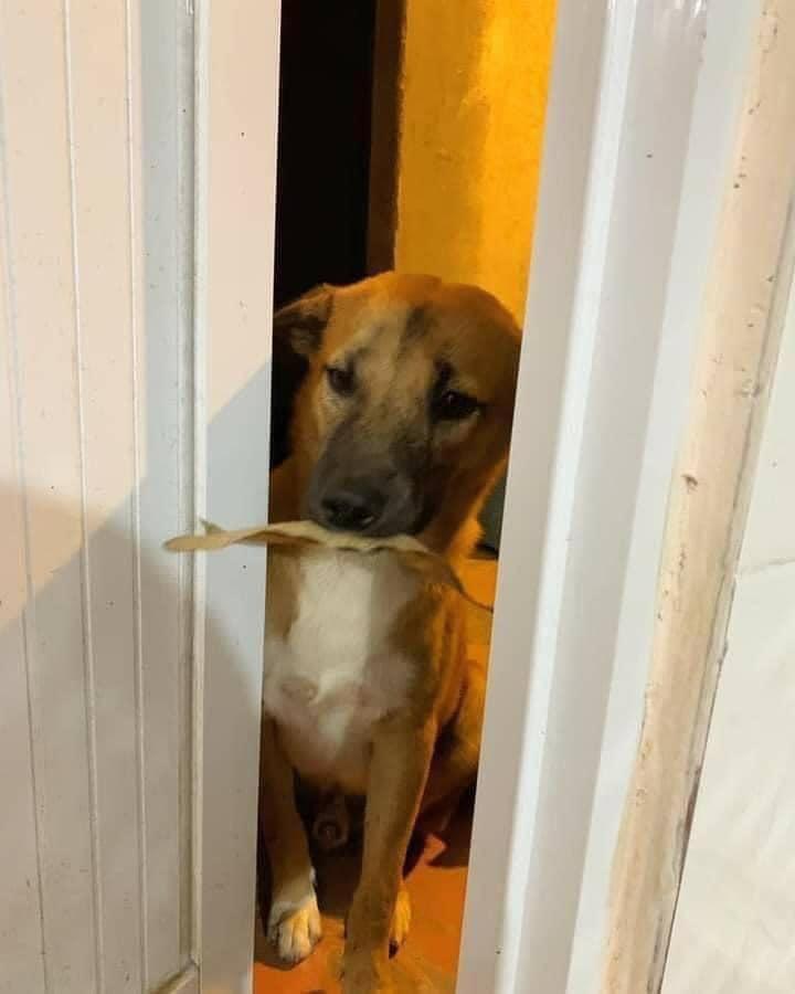 Boss canh giờ tặng đồ cho sen, hôm sau sòng phẳng đòi quà-1