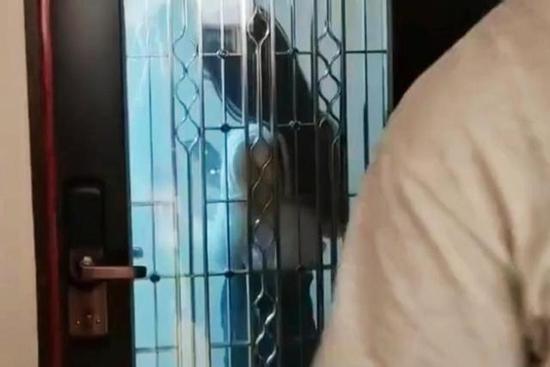 Gái xinh gõ cửa nửa đêm, chồng phủ nhận không quen!