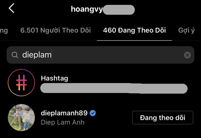 Mối quan hệ Diệp Lâm Anh với chị em dâu nhà Xoài Non-6