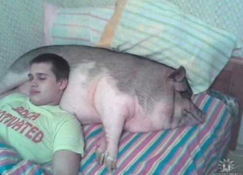 Cười ná thở loạt ảnh hài hước chỉ có thể là nước Nga-12