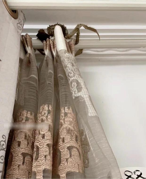 Ngước mắt lên trần nhà, cô gái tá hỏa thấy loài đu bám-1