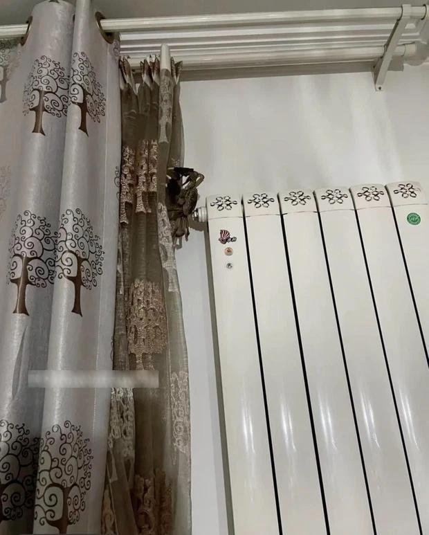 Ngước mắt lên trần nhà, cô gái tá hỏa thấy loài đu bám-2