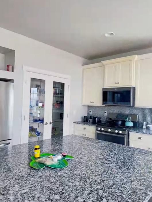 Biệt thự trên đất Mỹ của cặp đồng tính nữ Bi Bảo - Múi Xù-4