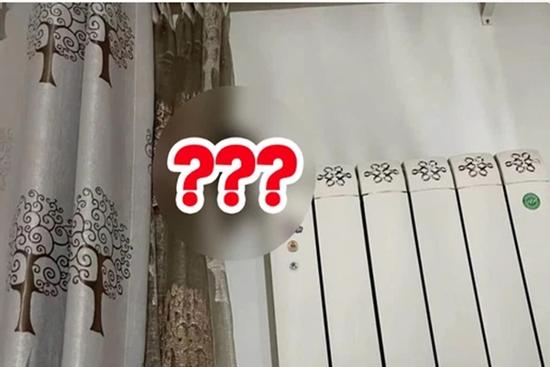 Ngước mắt lên trần nhà, cô gái tá hỏa thấy loài 'đu bám'