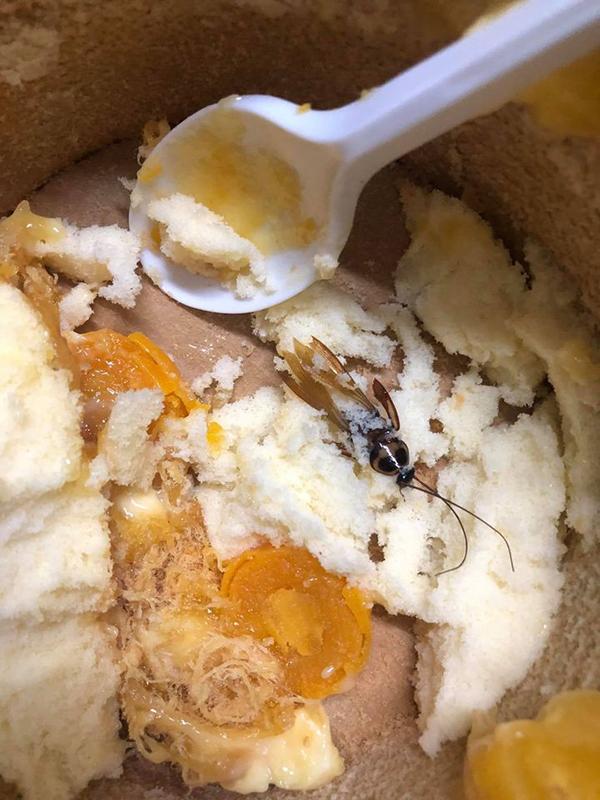 Điểm 4.6/5, quán cơm rang bị khách tố cho thêm topping kinh dị-4