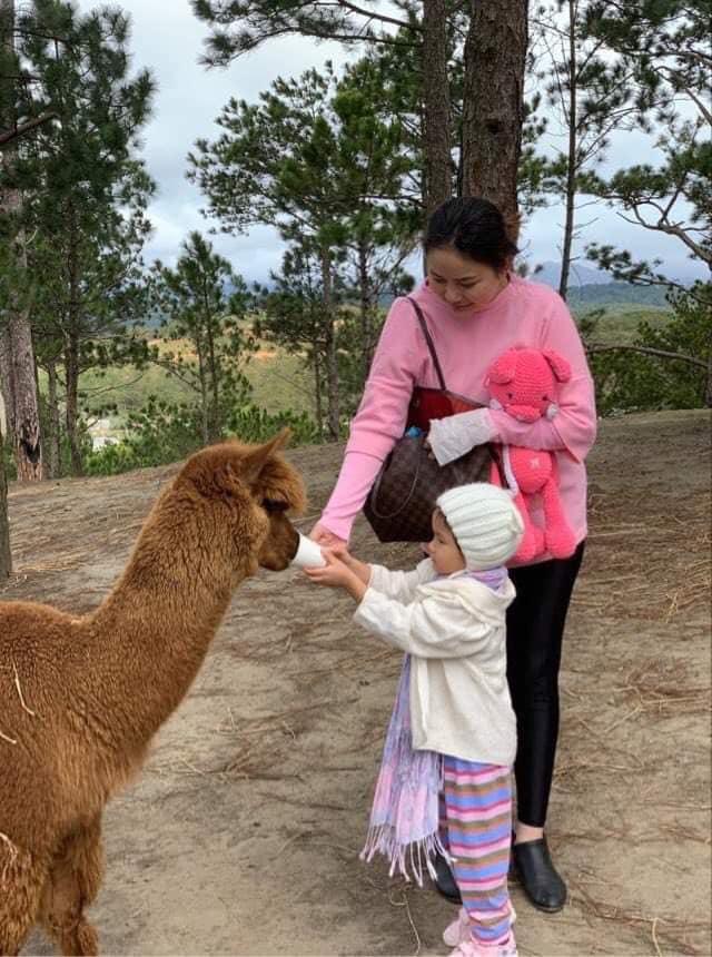 Chồng đại gia hé lộ Phan Như Thảo là trùm bất động sản-2