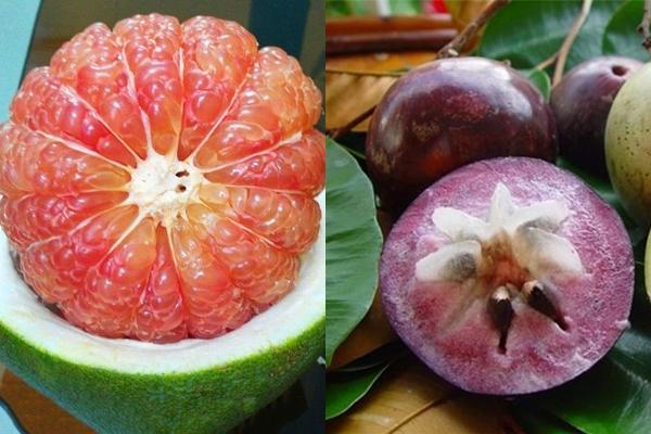 Câu hỏi rèn cơ não gây lú: Tên 5 loại trái cây không có dấu sắc?-2