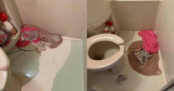 Hot girl bị bóc phốt ra ngoài láng mịn, về nhà bẩn chúa-2