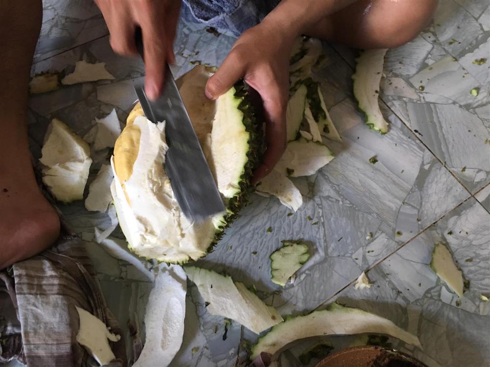 Sầu riêng chưa kịp chín đã bị làm thịt, kết quả suýt rơi nước mắt-2