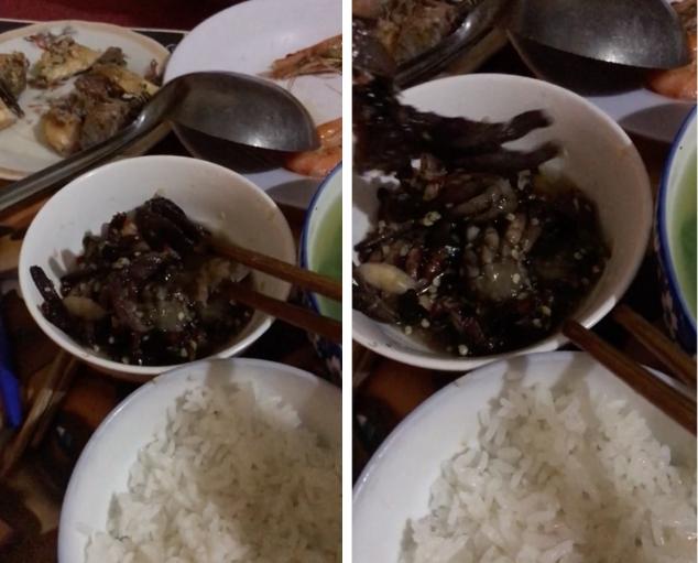 Đặt ba khía từ Nam ra Bắc ăn thử, bà cô công khai chê chán-1