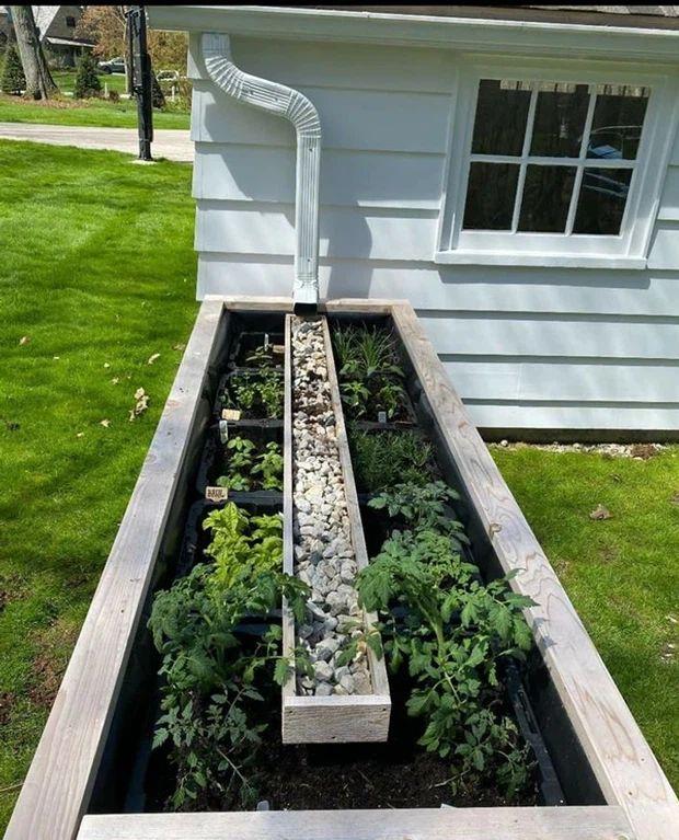 Thế giới nợ họ giải Nobel vì sáng kiến chỉ thiên tài mới nghĩ ra!-11