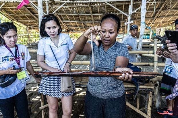 Philippines có 1 món ăn lấy từ gỗ mục kẻ sợ, người nghiện-3