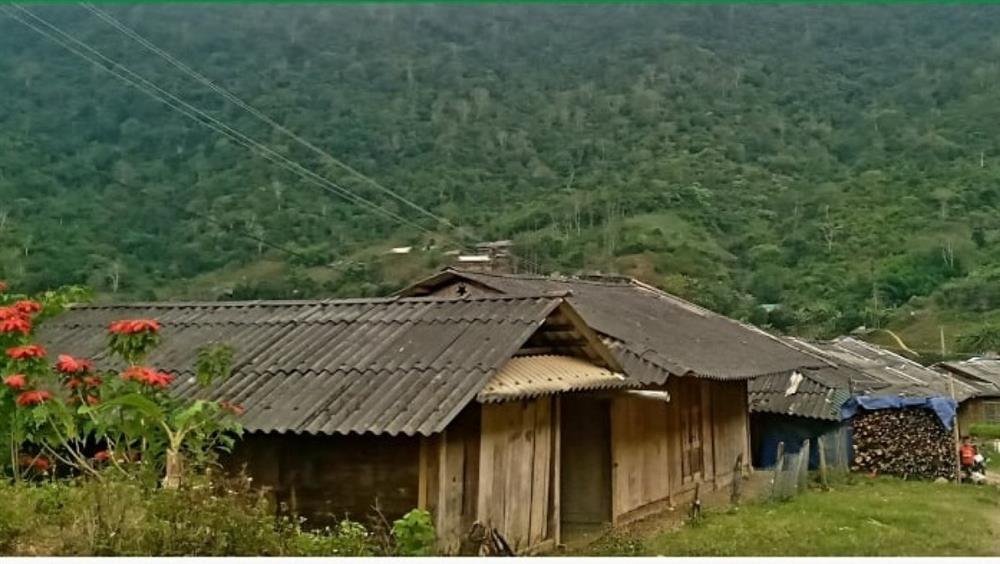 Người dân tộc HMông bị gạ chơi tiền ảo: Cứ lên nương là có tiền-1