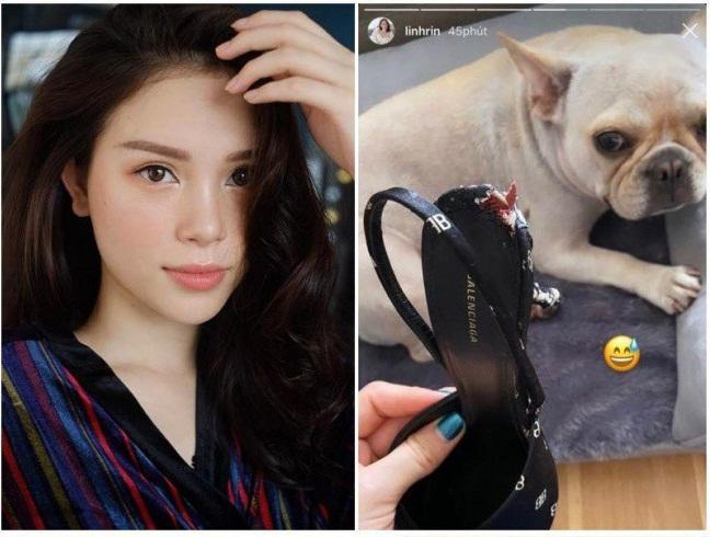 Phá đồ hiệu như Linh Rin, Đàm Thu Trang: Túi gần 1 tỷ như đồ chợ-7