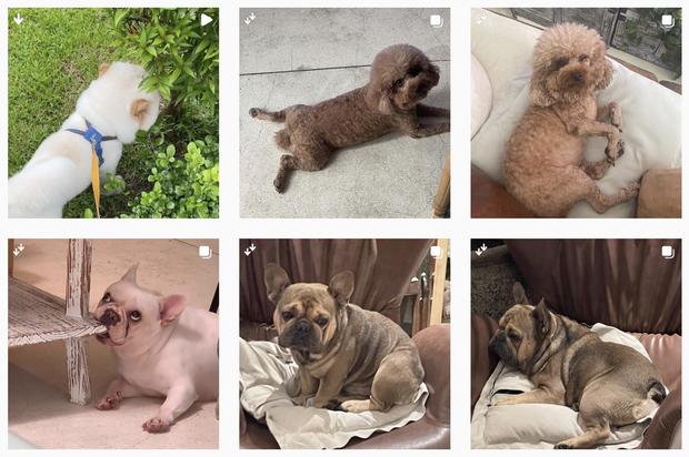 Châu Bùi - Binz vướng nghi vấn toang-9