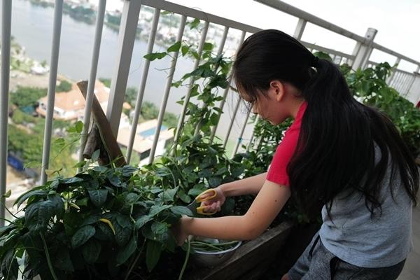 Con trai Hồng Nhung gây sốt vì suối tóc dài thượt như bé gái-9