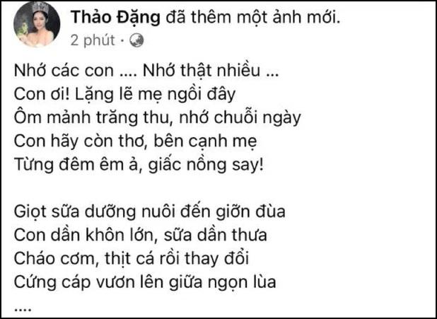 Hoa hậu Đặng Thu Thảo làm gì khi chồng cũ cảnh cáo kiện?-3