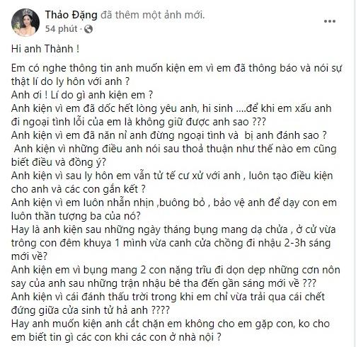 Hoa hậu Đặng Thu Thảo mời chồng cũ khởi kiện-4