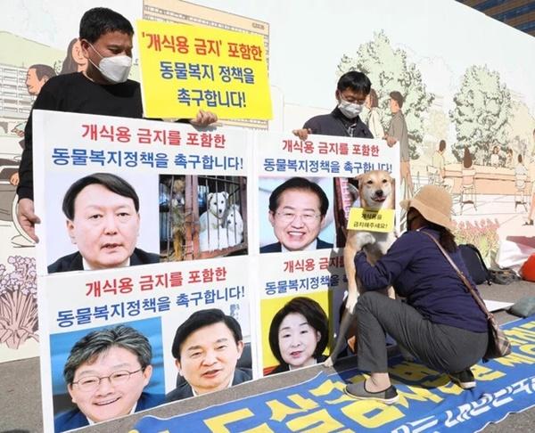 Ứng viên Tổng thống Hàn Quốc nuôi 4 con cún vẫn đồng ý thịt chó-2