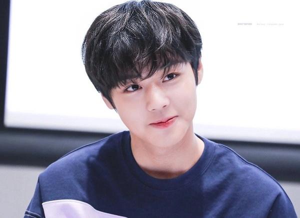 Thần tượng Kpop từng là diễn viên nhí-2