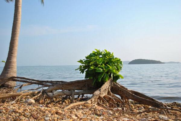 Vùng nước tử thần bí ẩn trong đại dương-8