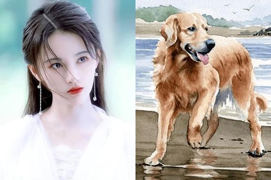 Tử vi 12 con giáp thứ Ba 9/11/2021: Tuất yêu 'như cơm nguội'