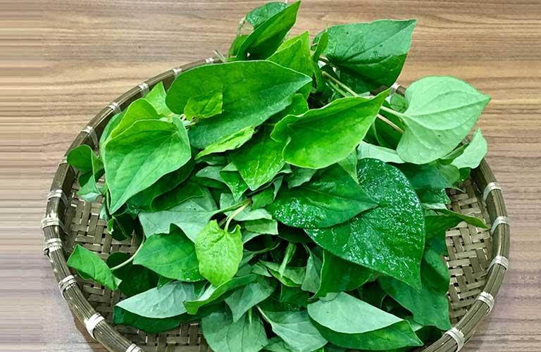 4 loại rau vị khó nuốt nhưng hiệu quả mạnh như tiên dược-3
