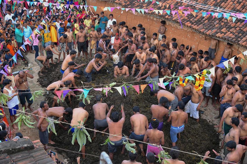 Hàng trăm người chen chân để được tham gia ném phân bò-1