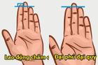 Bàn tay có 8 đặc điểm chứng minh '3 đời tiêu không hết của'